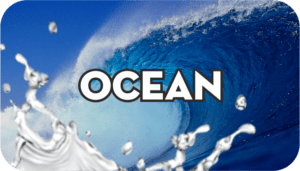 Vůn ocean