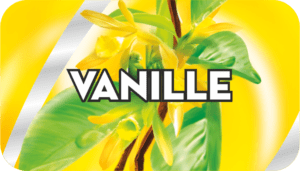 Vůně vanilka