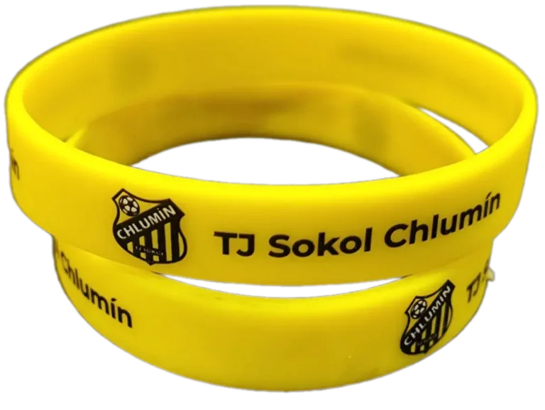Úvod 195